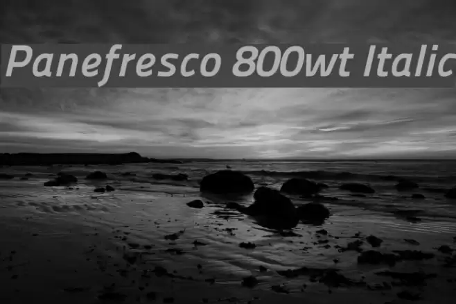 Panefresco 800wt Italic Schriftart examples