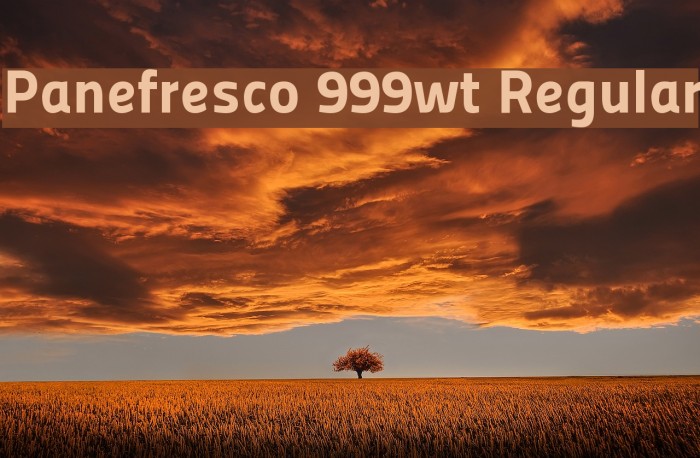 Panefresco 999wt Regular フォント examples