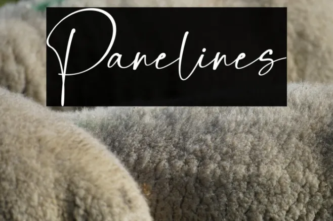 Panelines Example 1