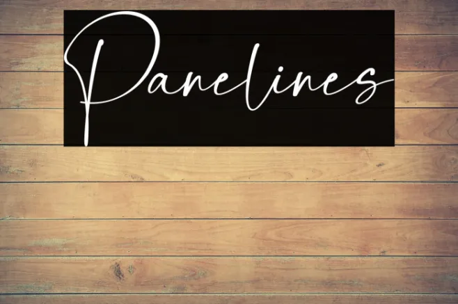 Panelines Example 3