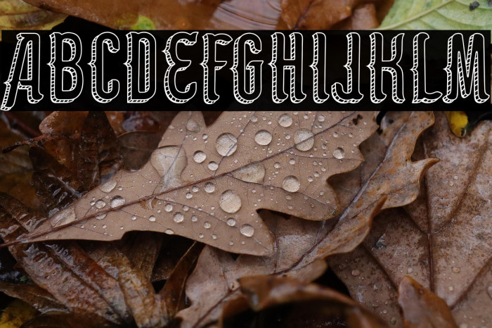 Panem et circenses Example 1