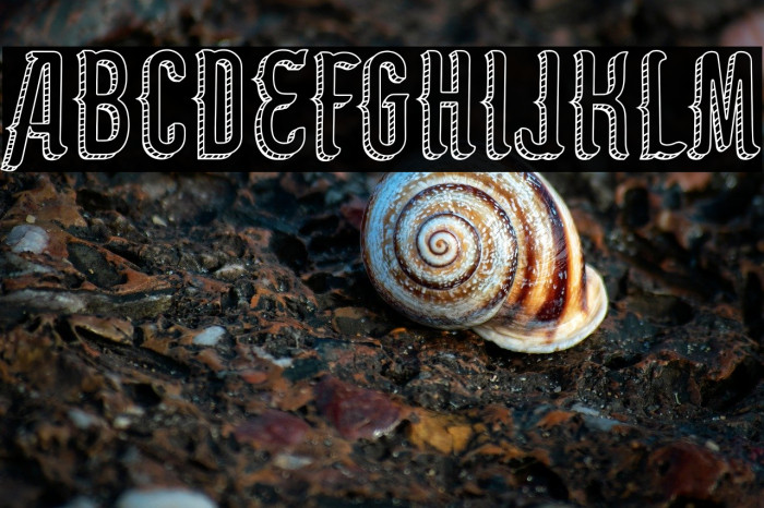 Panem et circenses Example 2