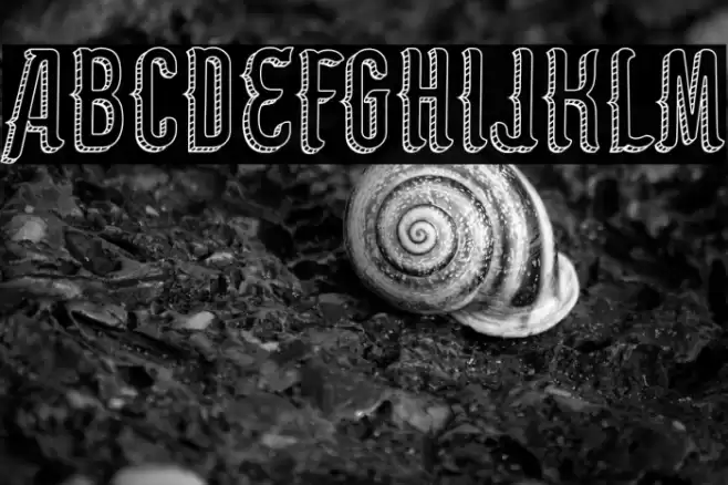 Panem et circenses Font examples