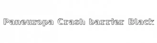 Paneuropa Crash barrier Black 