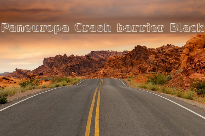 Paneuropa Crash barrier Black Font examples