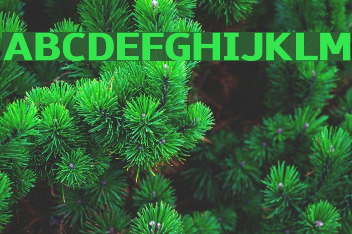 Paneuropa Freeway Font examples