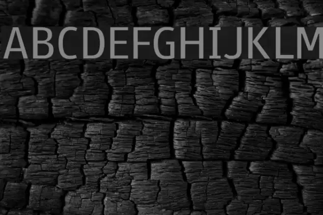 Paneuropa Street Font examples