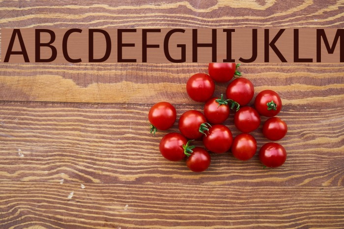 Paneuropa Street Font examples