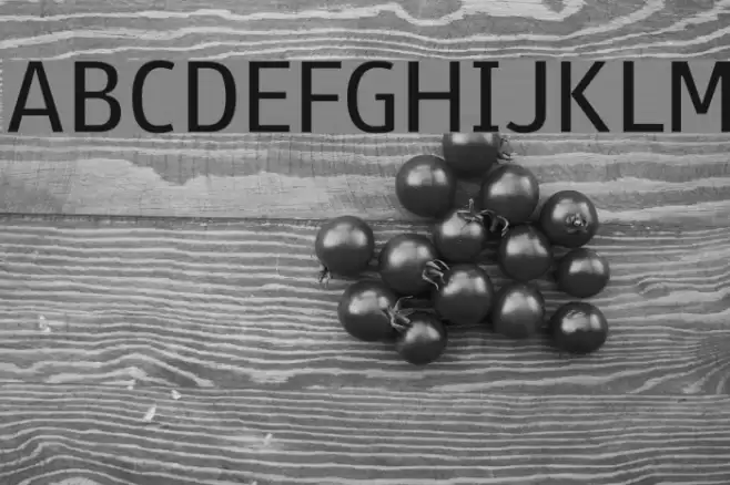 Paneuropa Street Font examples