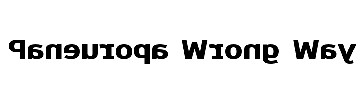 Paneuropa Wrong Way Fuentes