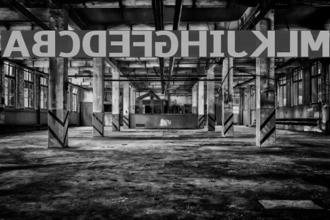 Paneuropa Wrong Way خط examples