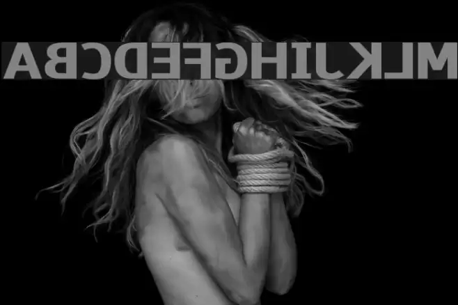 Paneuropa Wrong Way خط examples