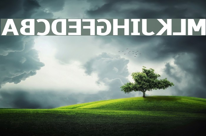 Paneuropa Wrong Way Font examples