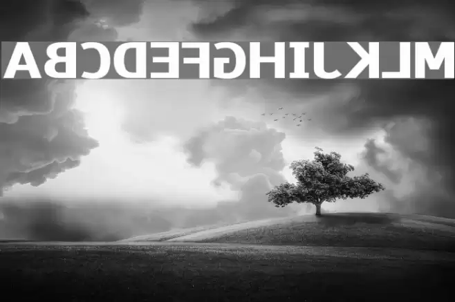 Paneuropa Wrong Way خط examples