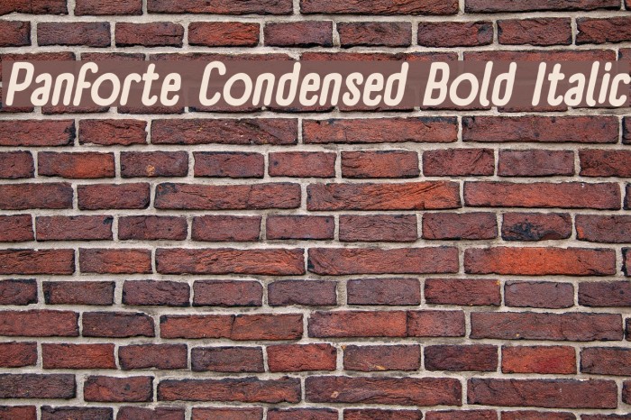 Panforte Condensed Bold Italic Font examples