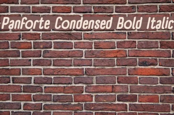 Panforte Condensed Bold Italic Example 2