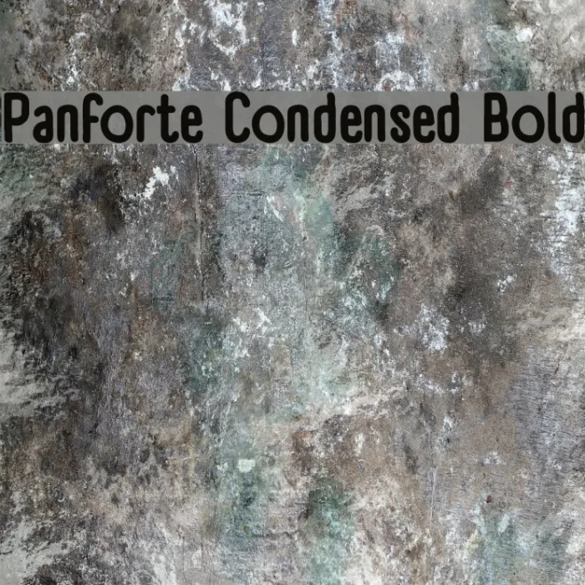 Panforte Condensed Bold Example 1