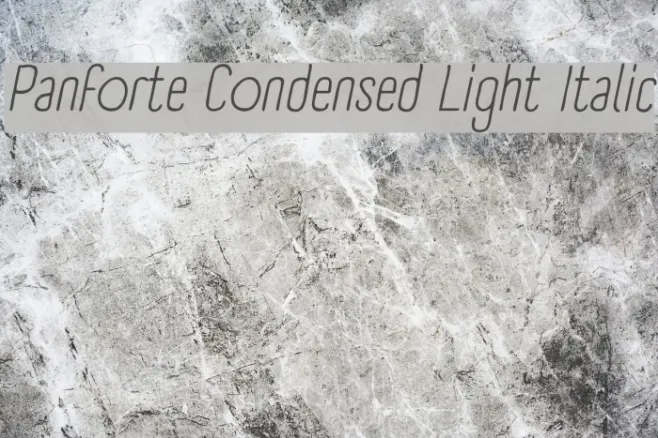 Panforte Condensed Light Italic Example 1