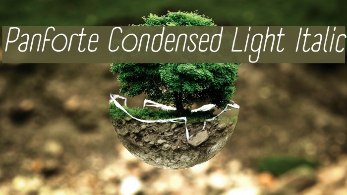 Panforte Condensed Light Italic Font examples