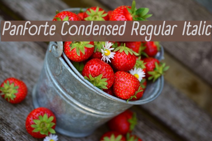 Panforte Condensed Regular Italic Font examples