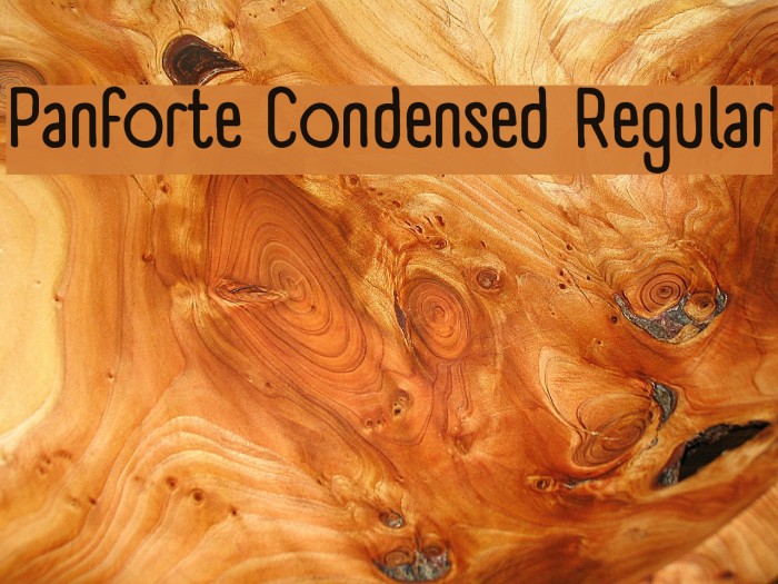 Panforte Condensed Regular Font examples