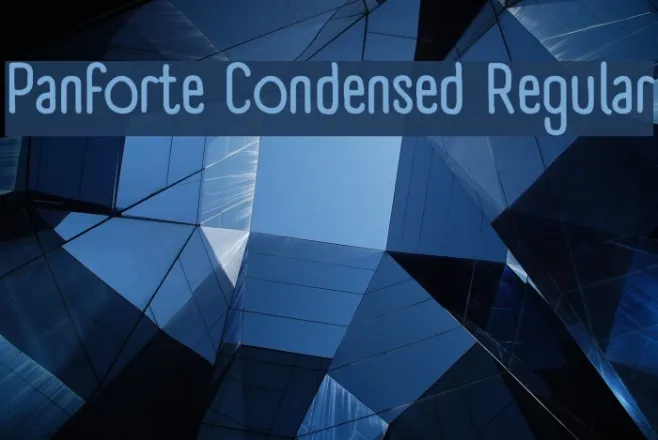 Panforte Condensed Regular Example 2