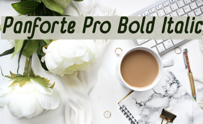 Panforte Pro Bold Italic Font examples