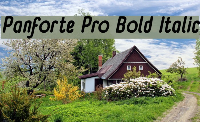 Panforte Pro Bold Italic Font examples
