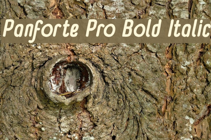 Panforte Pro Bold Italic Font examples