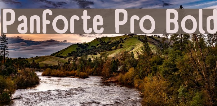 Panforte Pro Bold Font examples
