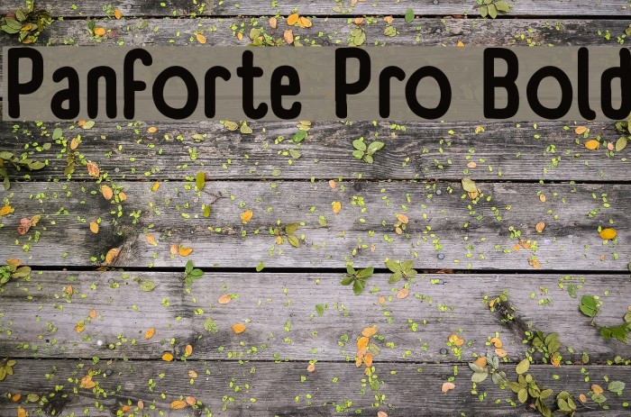 Panforte Pro Bold Font examples