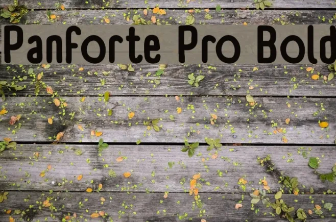 Panforte Pro Bold Example 3