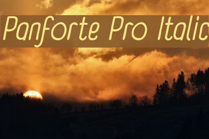 Panforte Pro Italic Font examples