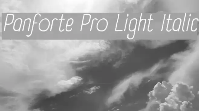 Panforte Pro Light Italic examples