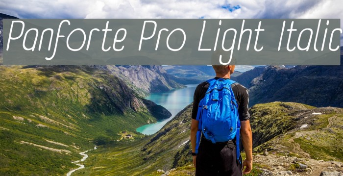 Panforte Pro Light Italic Fonte examples