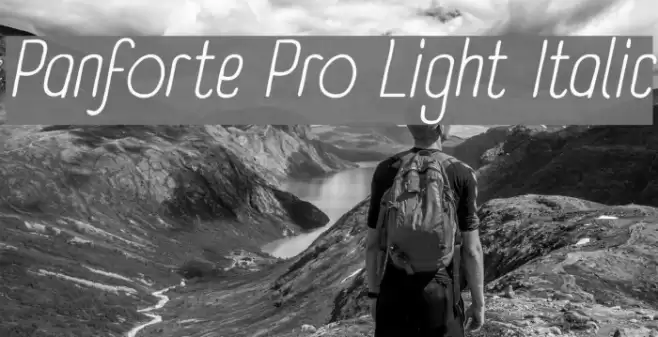 Panforte Pro Light Italic examples