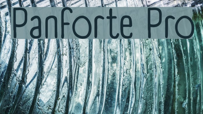 Panforte Pro Font examples