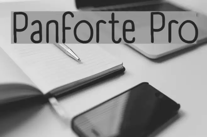 Panforte Pro Font examples