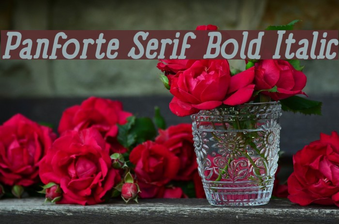 Panforte Serif Bold Italic Font examples