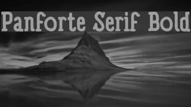 Panforte Serif Bold Font examples