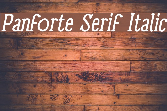 Panforte Serif Italic Font examples