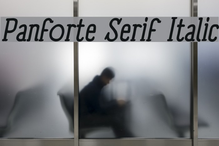 Panforte Serif Italic Font examples
