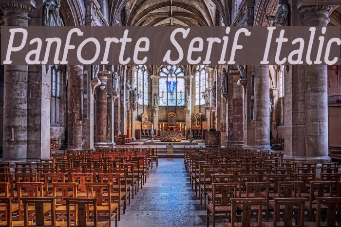 Panforte Serif Italic Font examples