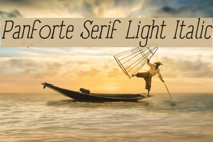 Panforte Serif Light Italic Font examples