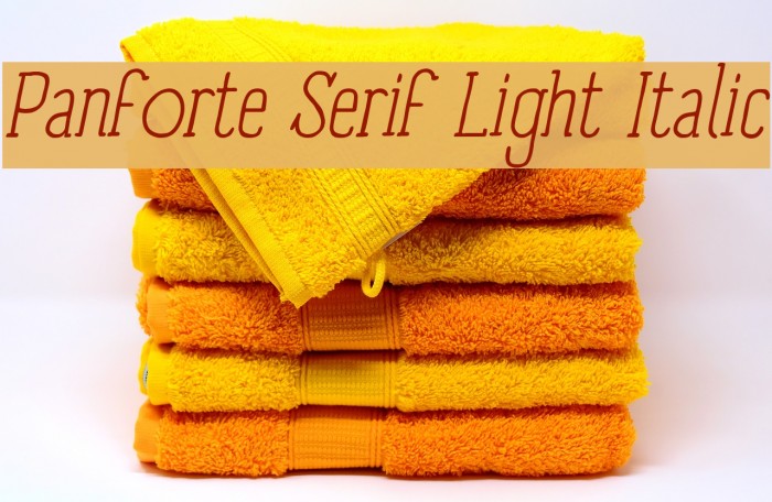 Panforte Serif Light Italic Font examples