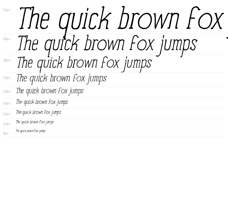 Panforte Serif Light Italic Waterfall