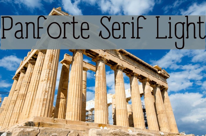 Panforte Serif Light Font examples