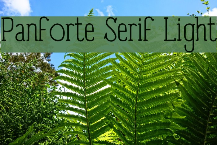 Panforte Serif Light Font examples