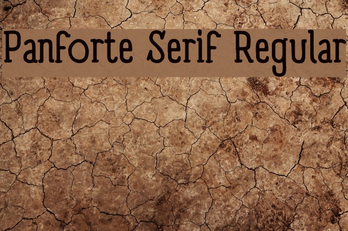 Panforte Serif Regular Font examples