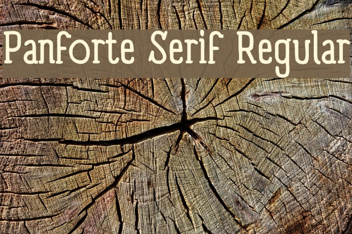 Panforte Serif Regular Font examples